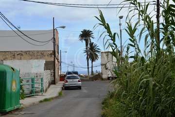 El Cubillo implora por la conexión a la red de saneamiento y el asfaltado de su acceso (Foto TA)